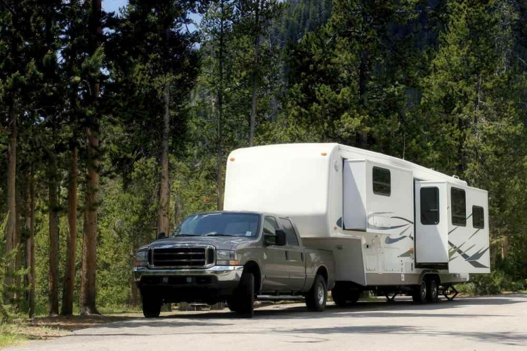 Camper trailer parked by forest